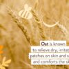 Babo Botanicals Moisturizing Lotion - Face & Body Plant-Based Lotion for Babies, Kids & Adults with Sensitive or Dry Skin - with Colloidal Oatmeal, Organic Calendula & Shea Butter - 8 fl. oz. - Image 3